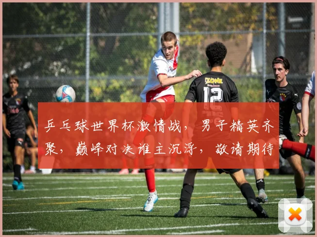 乒乓球世界杯激情战，男子精英齐聚，巅峰对决谁主沉浮，敬请期待