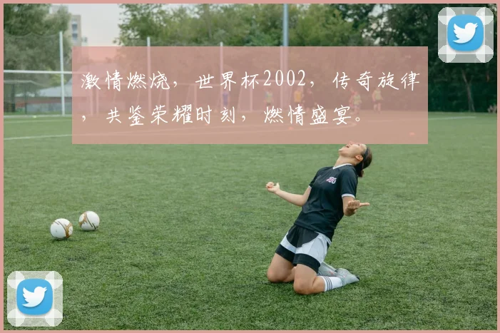 激情燃烧，世界杯2002，传奇旋律，共鉴荣耀时刻，燃情盛宴。