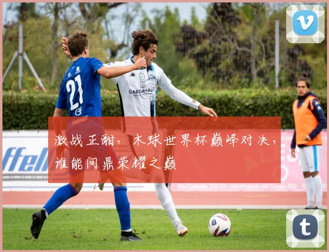 激战正酣，木球世界杯巅峰对决，谁能问鼎荣耀之巅
