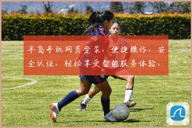 半岛手机网页登录，便捷操作，安全认证，轻松享受智能服务体验，两步登录，畅享无忧。